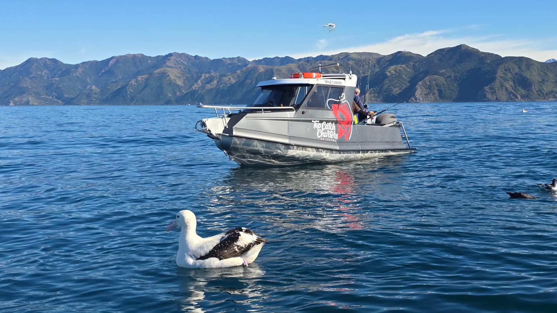 Fishing and Crayfish Trip from Kaikoura - image 9
